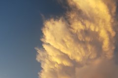 37