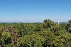 79
