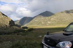 74